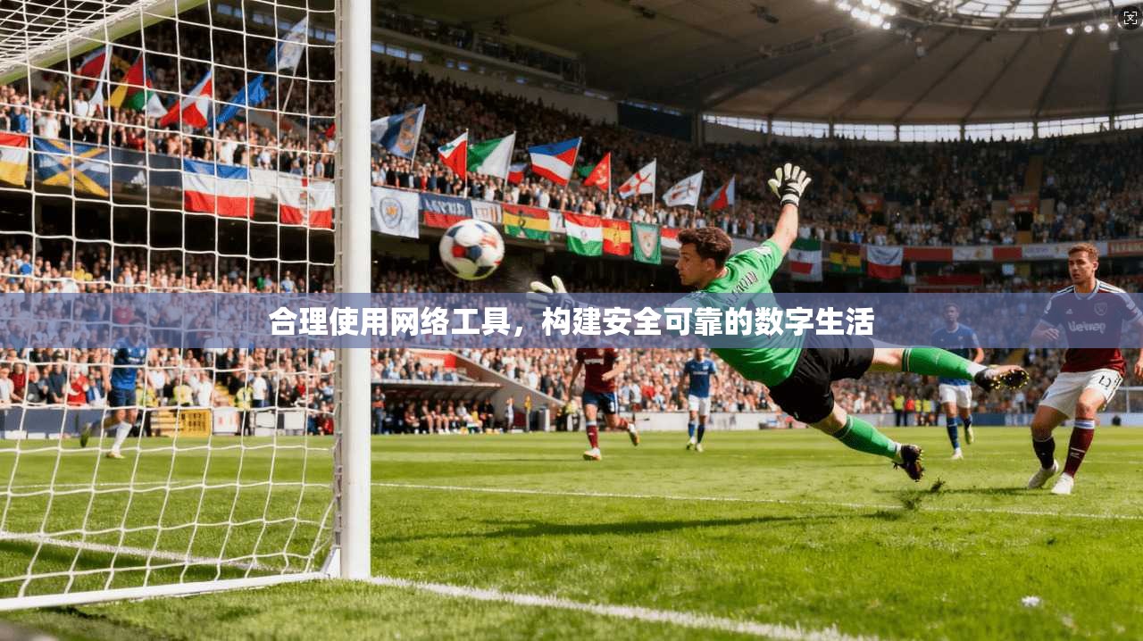 合理使用网络工具，构建安全可靠的数字生活