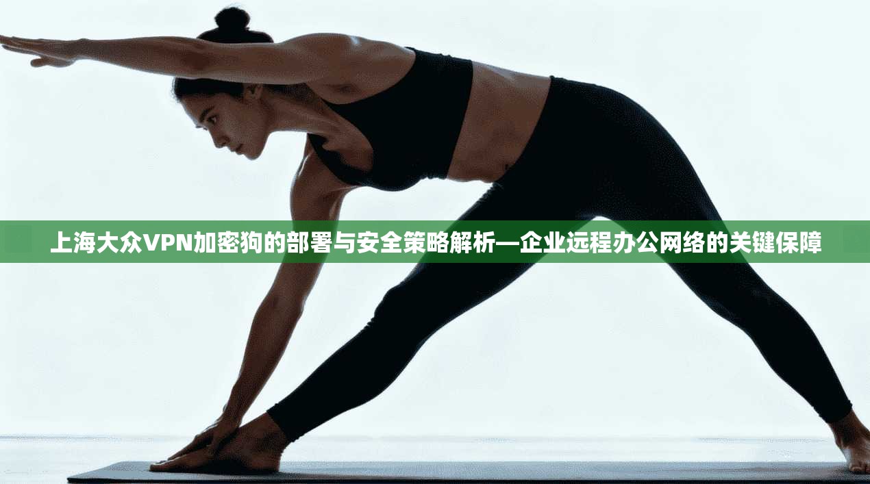 上海大众VPN加密狗的部署与安全策略解析—企业远程办公网络的关键保障