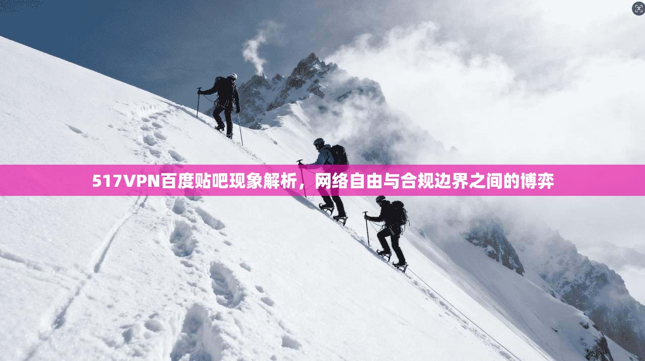 517VPN百度贴吧现象解析，网络自由与合规边界之间的博弈
