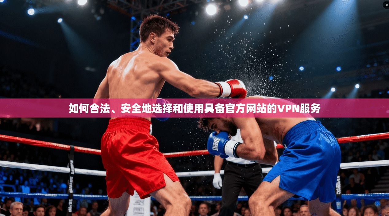 如何合法、安全地选择和使用具备官方网站的VPN服务
