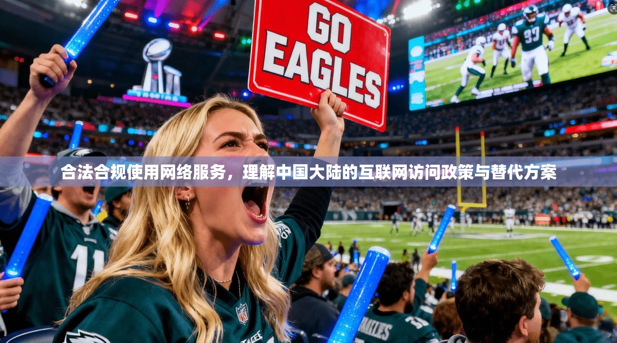 合法合规使用网络服务,理解中国大陆的互联网访问政策与替代方案 合法合规使用网络服务,理解中国大陆的互联网访问政策与替代方案