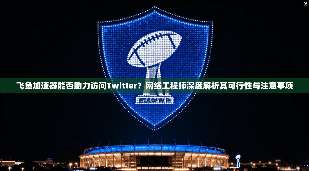 飞鱼加速器能否助力访问Twitter？网络工程师深度解析其可行性与注意事项