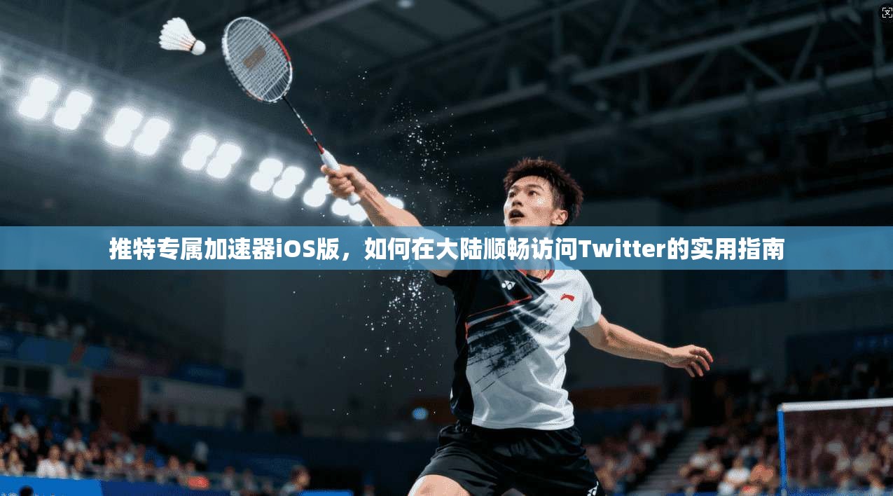 推特专属加速器iOS版，如何在大陆顺畅访问Twitter的实用指南