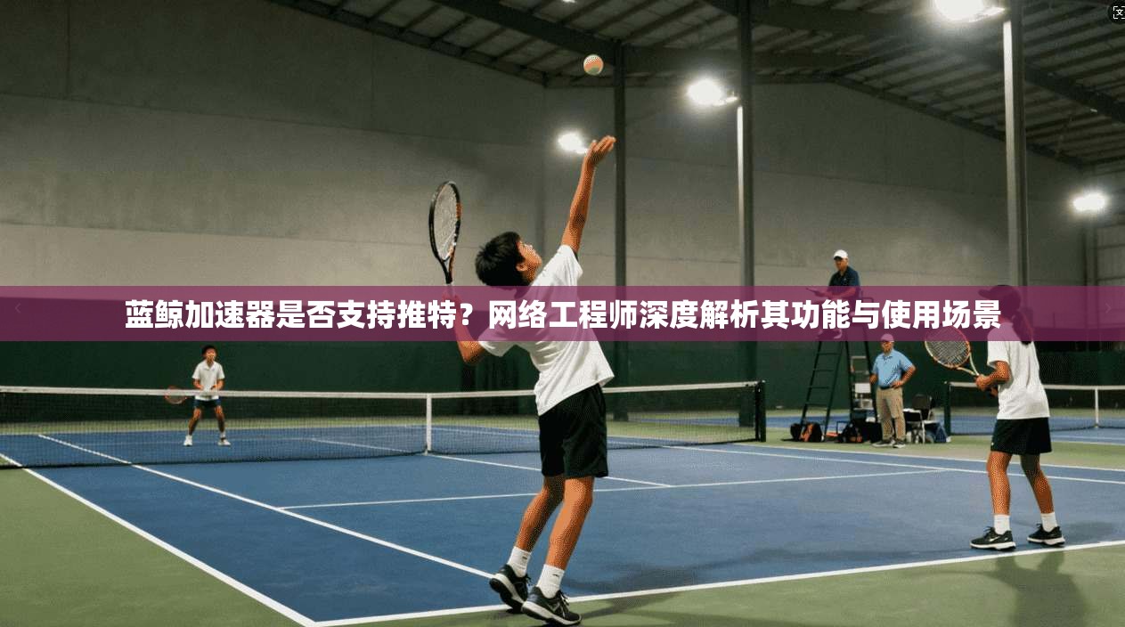 蓝鲸加速器是否支持推特？网络工程师深度解析其功能与使用场景