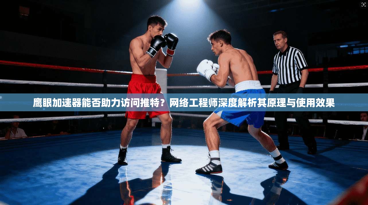 鹰眼加速器能否助力访问推特？网络工程师深度解析其原理与使用效果