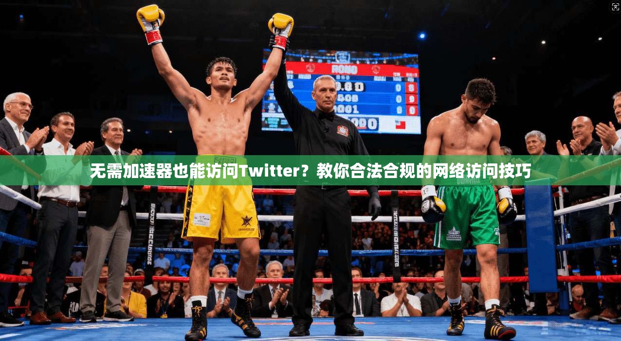 无需加速器也能访问Twitter？教你合法合规的网络访问技巧