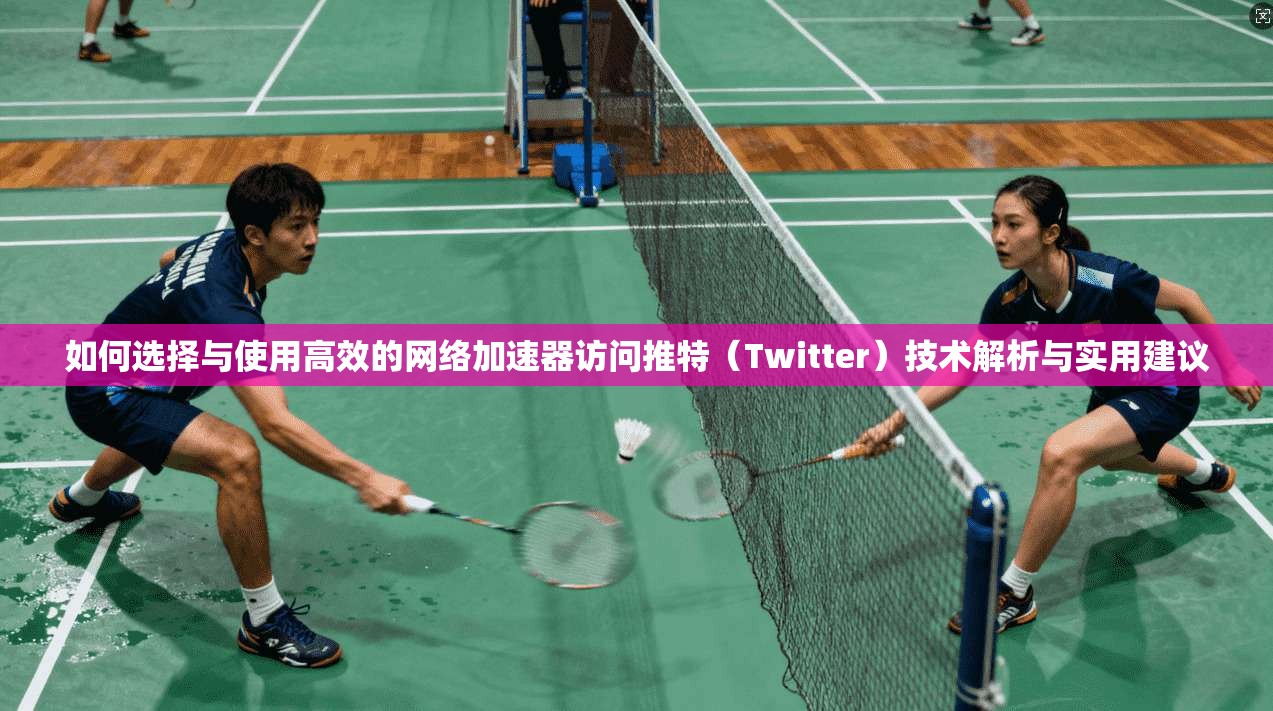 如何选择与使用高效的网络加速器访问推特（Twitter）技术解析与实用建议