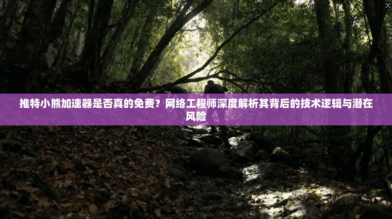 推特小熊加速器是否真的免费？网络工程师深度解析其背后的技术逻辑与潜在风险