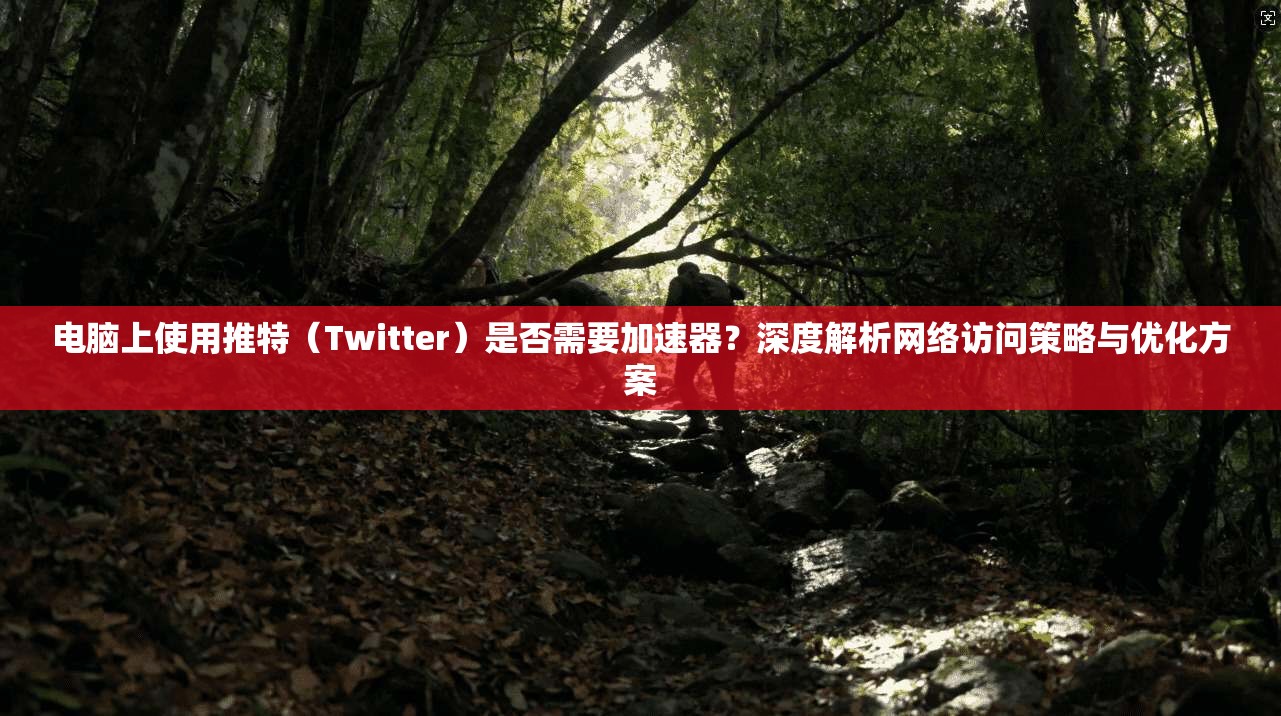 电脑上使用推特（Twitter）是否需要加速器？深度解析网络访问策略与优化方案