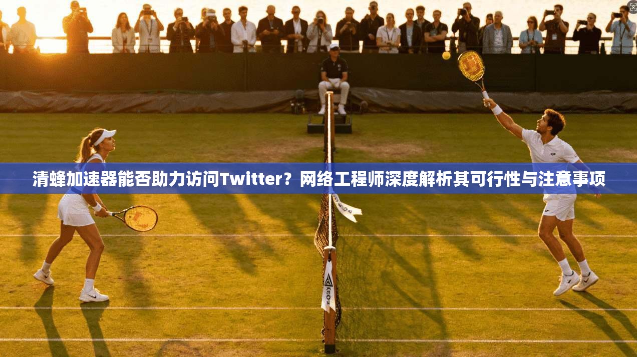 清蜂加速器能否助力访问Twitter？网络工程师深度解析其可行性与注意事项