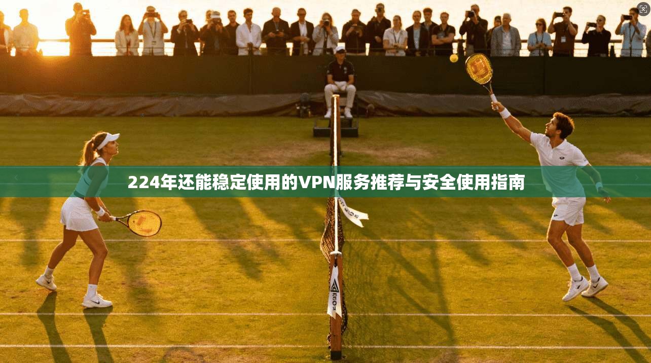 224年还能稳定使用的VPN服务推荐与安全使用指南