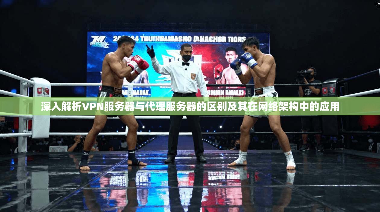 深入解析VPN服务器与代理服务器的区别及其在网络架构中的应用