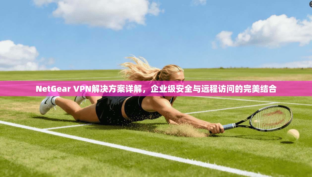NetGear VPN解决方案详解，企业级安全与远程访问的完美结合