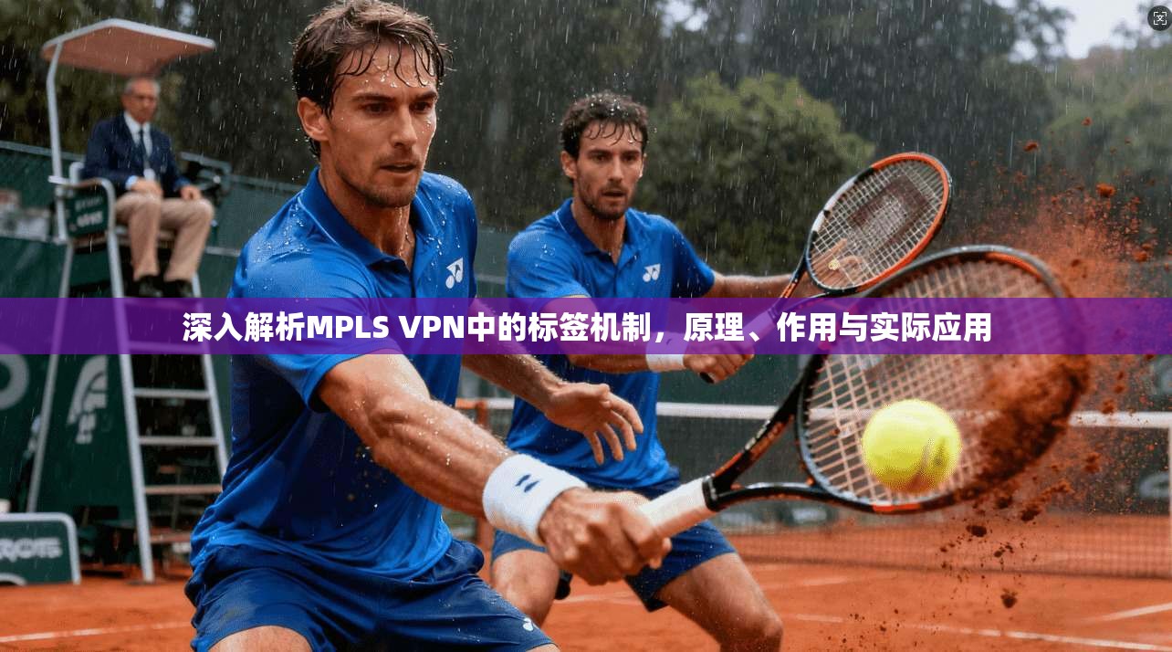 深入解析MPLS VPN中的标签机制，原理、作用与实际应用