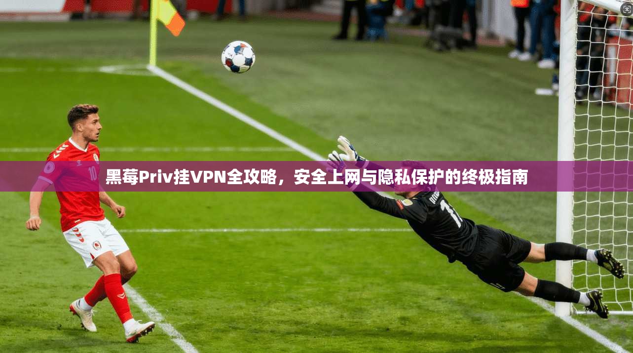 黑莓Priv挂VPN全攻略，安全上网与隐私保护的终极指南
