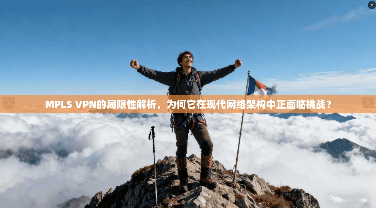 MPLS VPN的局限性解析，为何它在现代网络架构中正面临挑战？
